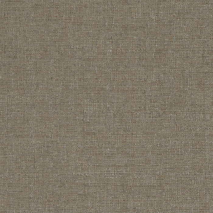 Charlotte Bark Fabric Sample D836