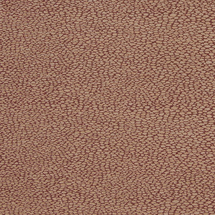 Color D901 Charlotte D901 Pebble/spice Sample | 40% Off (Samples)