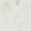Sanderson Farne Grasses Cream/Sage 216486 Wallpaper DEBB216486