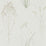 Sanderson Farne Grasses Willow/Pebble 216488 Wallpaper DEBB216488