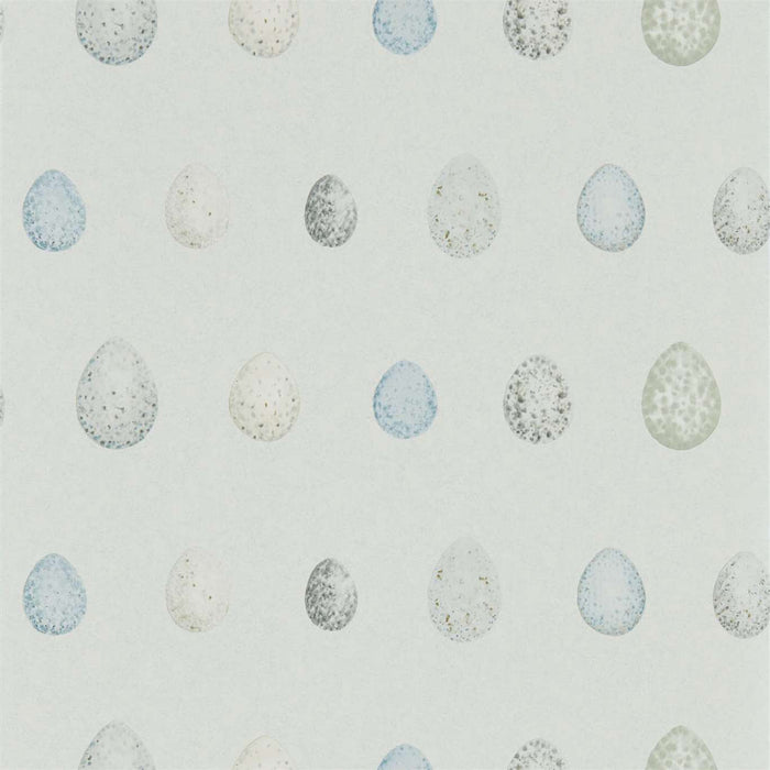 Sanderson Nest Egg Marine Aqua 216504 Wallpaper DEBB216504