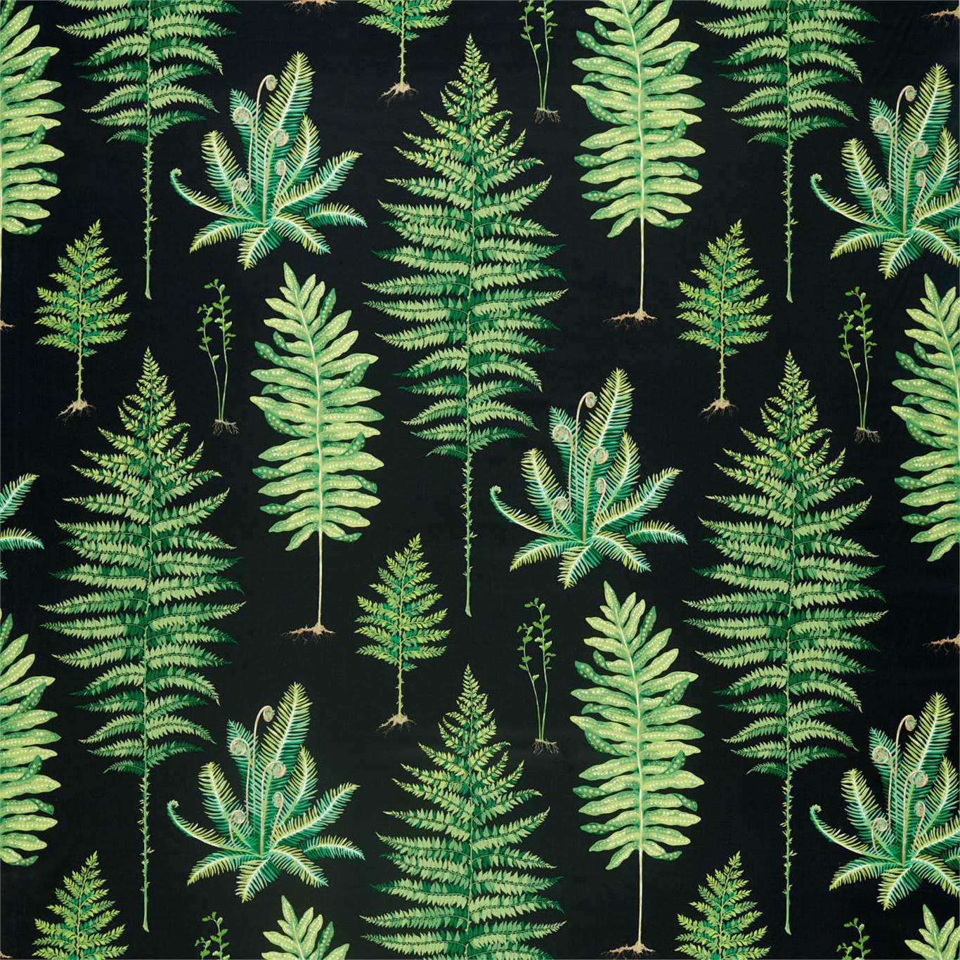 Sanderson Fernery Botanical Green/Charcoal 226577 Fabric DGLA226577