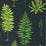 Sanderson Fernery Botanical Green/Charcoal 216634 Wallpaper DGLW216634