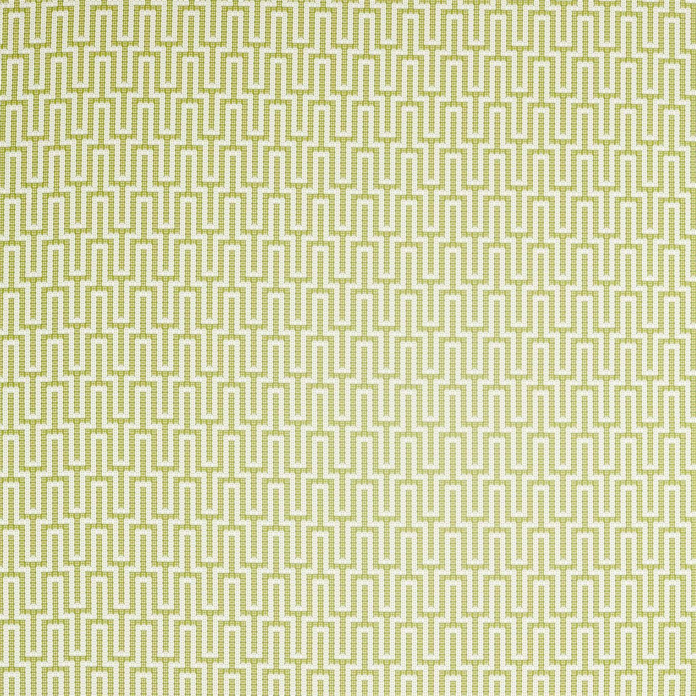 Sanderson Linnean Lime 236785 Fabric DLNC236785