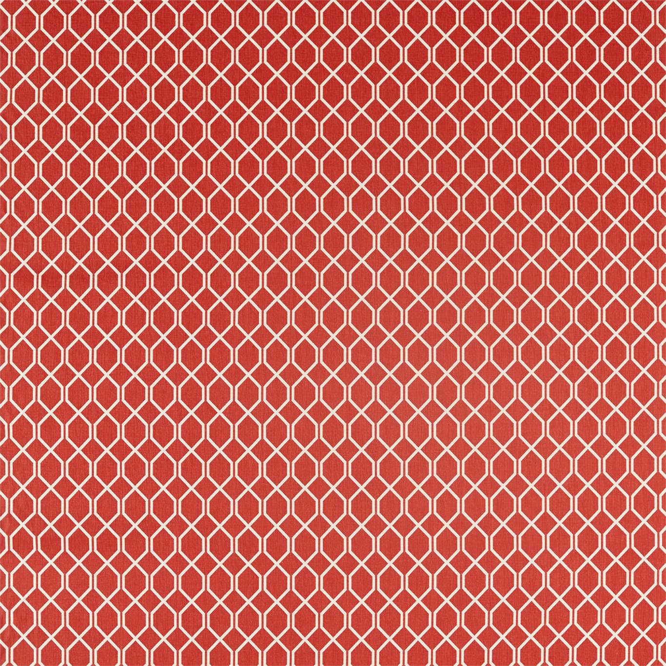 Sanderson Botanic Trellis Bengal Red 236788 Fabric DLNC236788