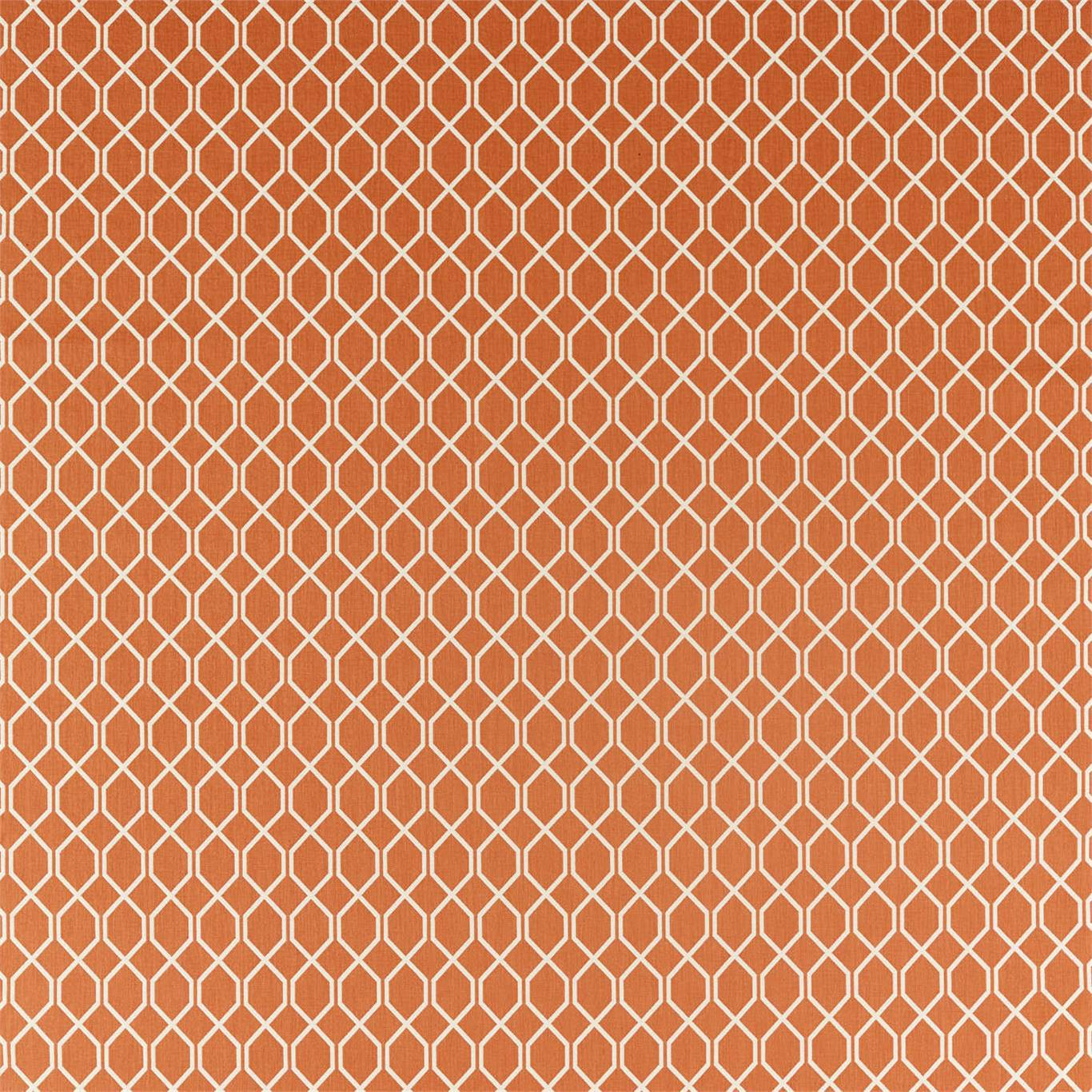 Sanderson Botanic Trellis Papaya 236791 Fabric DLNC236791