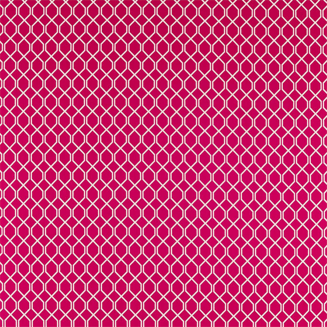 Sanderson Botanic Trellis Rhodera 236795 Fabric DLNC236795