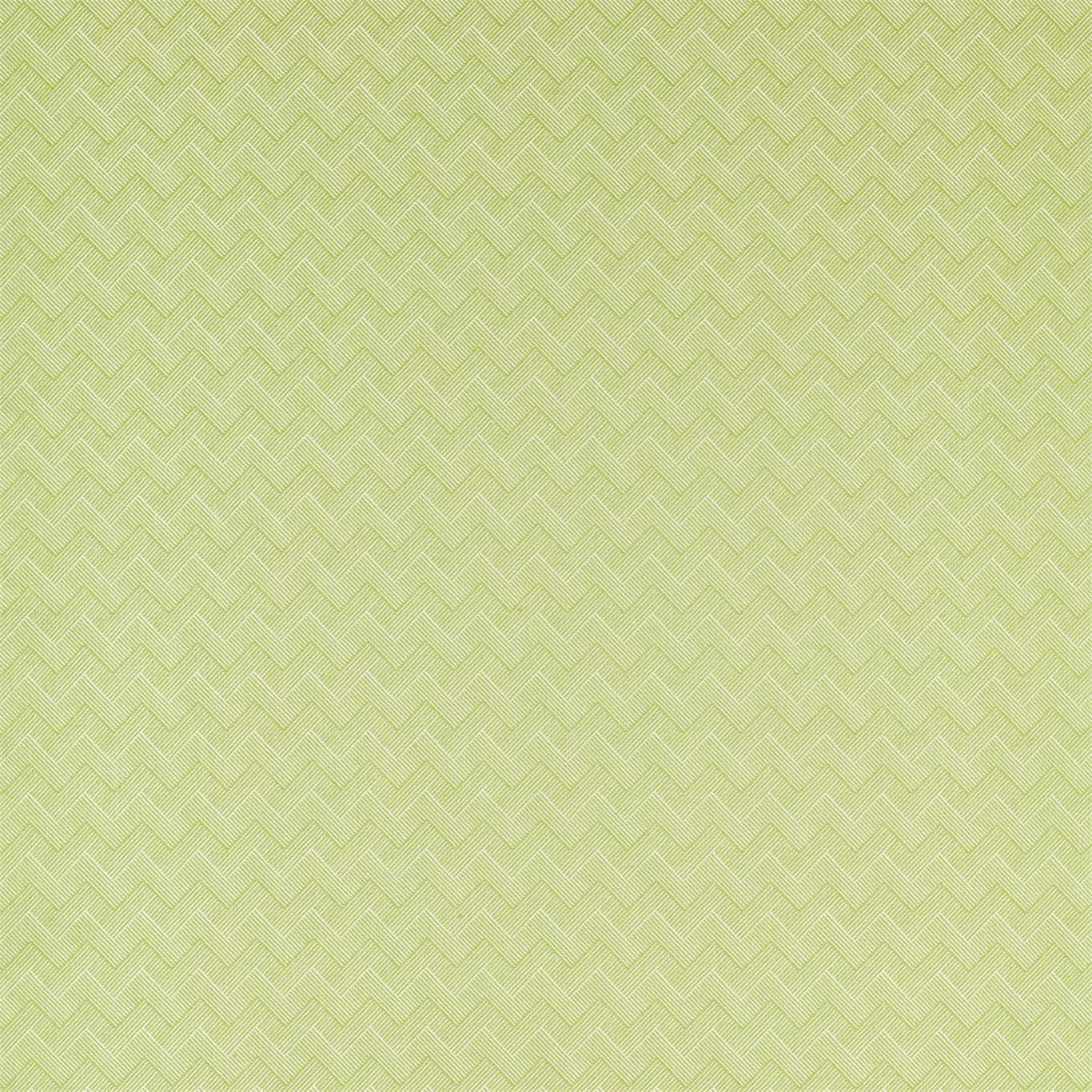 Sanderson Nelson Lime 236800 Fabric DLNC236800