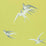Sanderson Swallows Lime SW101 Wallpaper DVIWSW101