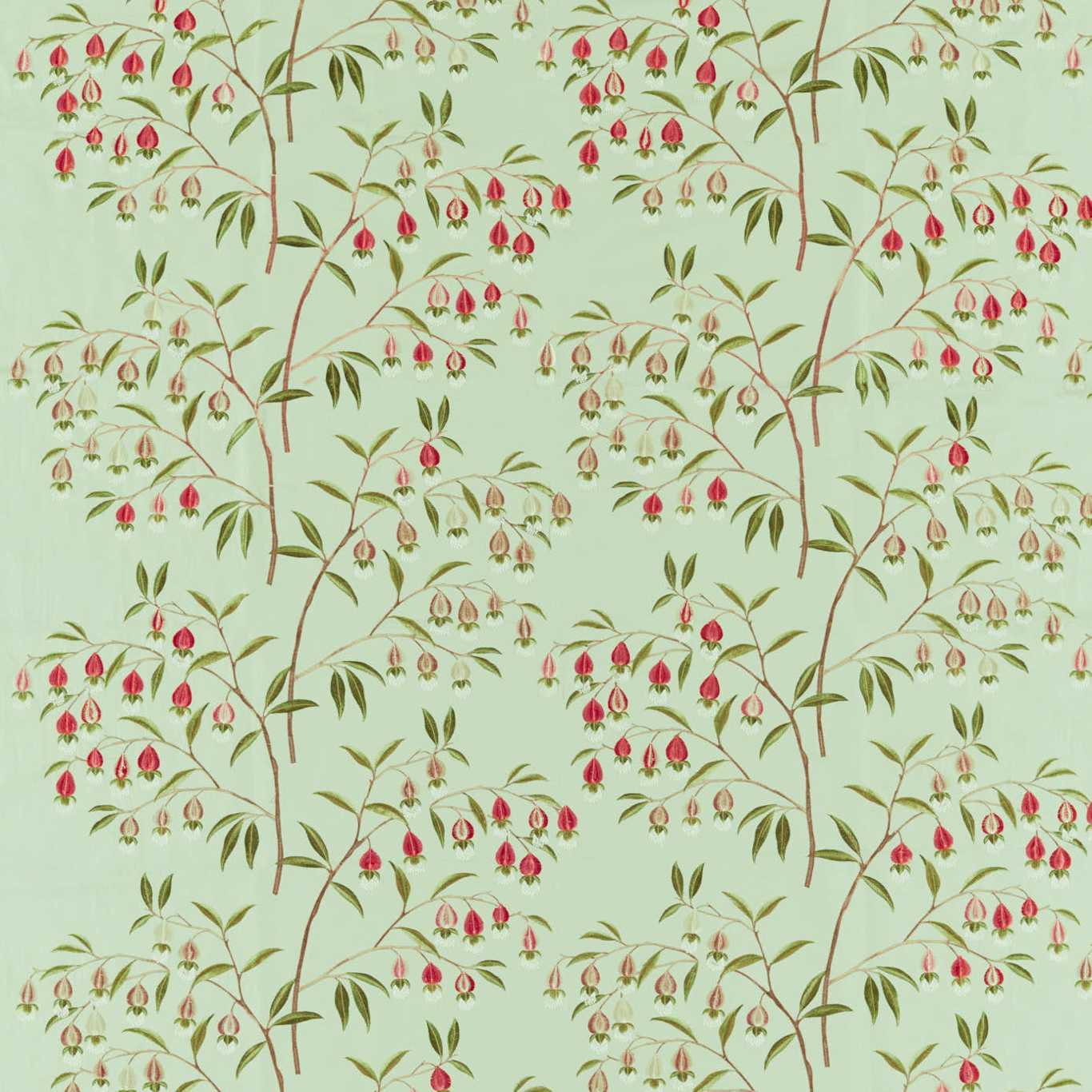 Sanderson Chinese Lantern Mint & Apricot 237270 Fabric DWAT237270