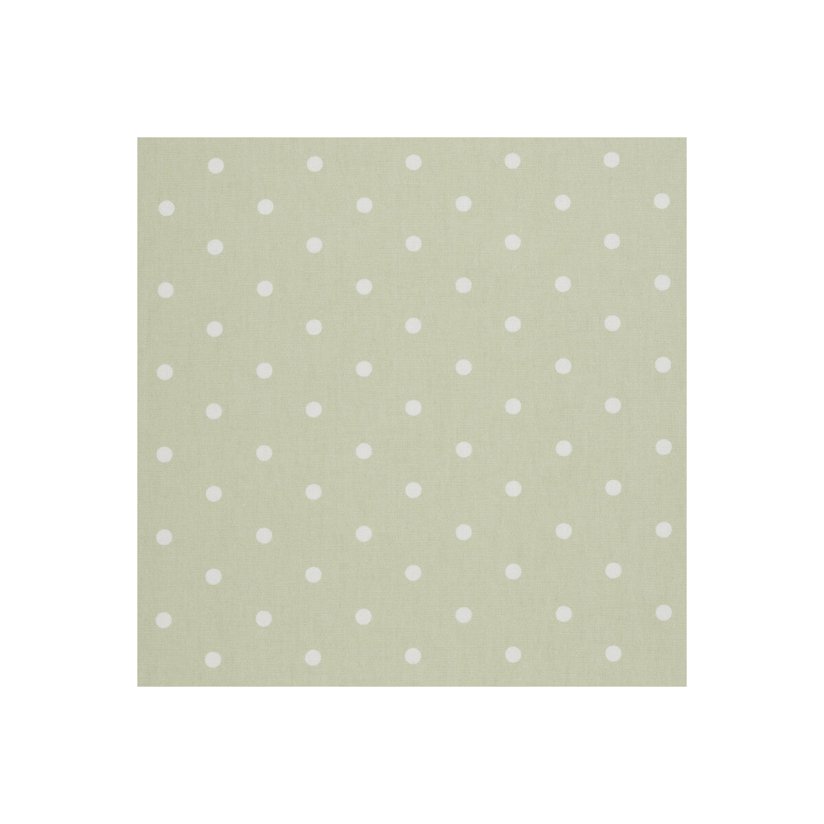 Clarke & Clarke Dotty Sage Fabric F0063/10.CAC.0