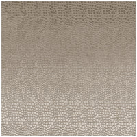 Clarke & Clarke Pulse Ash Fabric F0469/02.CAC.0