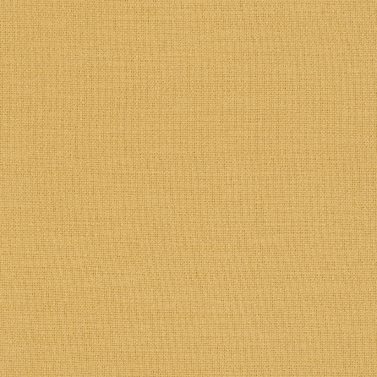 Clarke & Clarke Nantucket Sunflower Fabric F0594/53.CAC.0