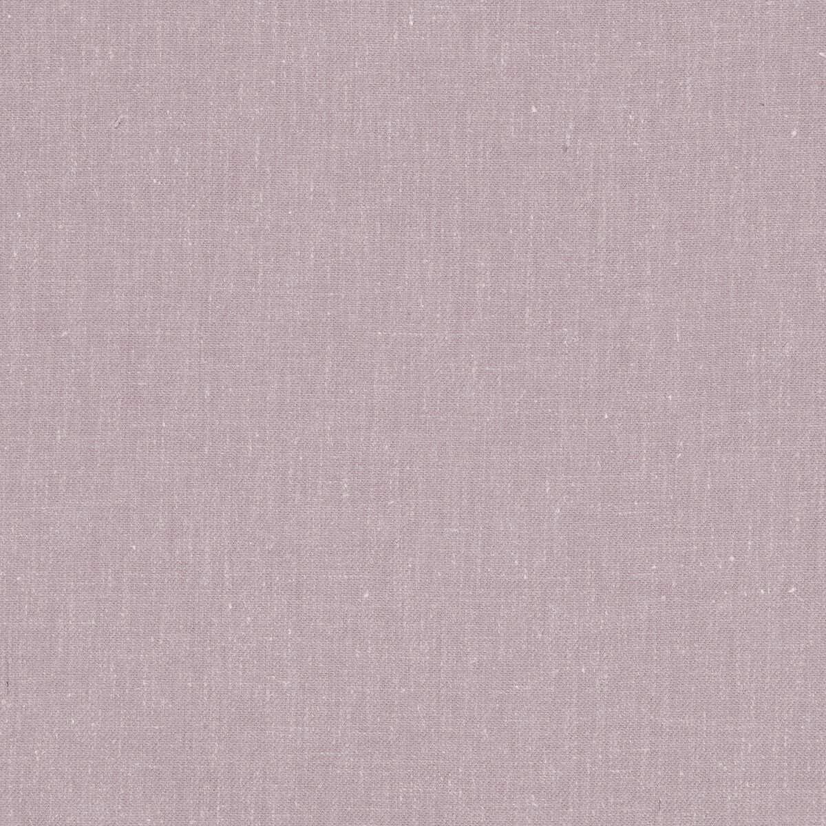 Clarke & Clarke Fabric