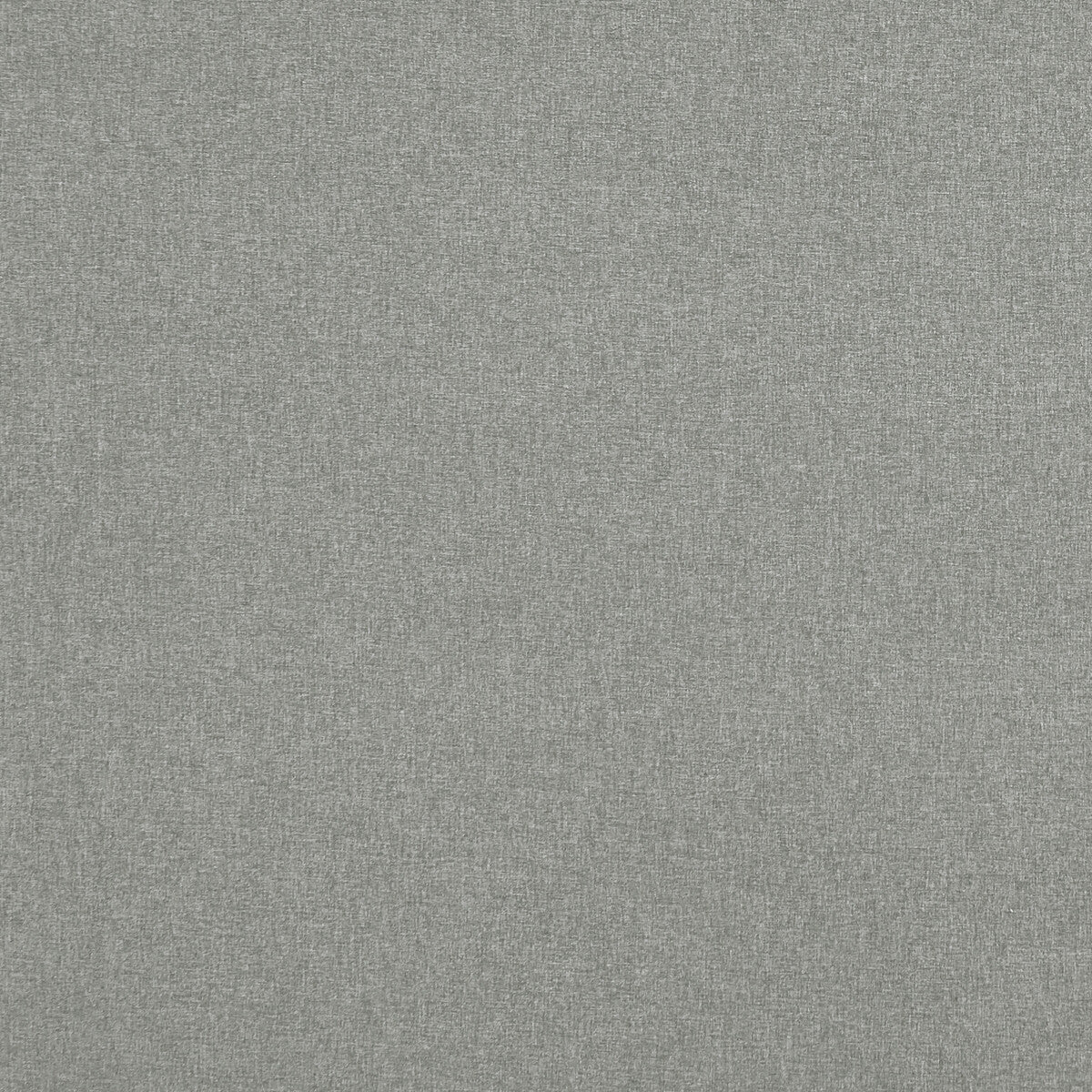 Clarke & Clarke Highlander Ash Fabric F0848/01.CAC.0