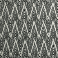 Clarke & Clarke Bw1022 Black/White Fabric F0895/01.CAC.0