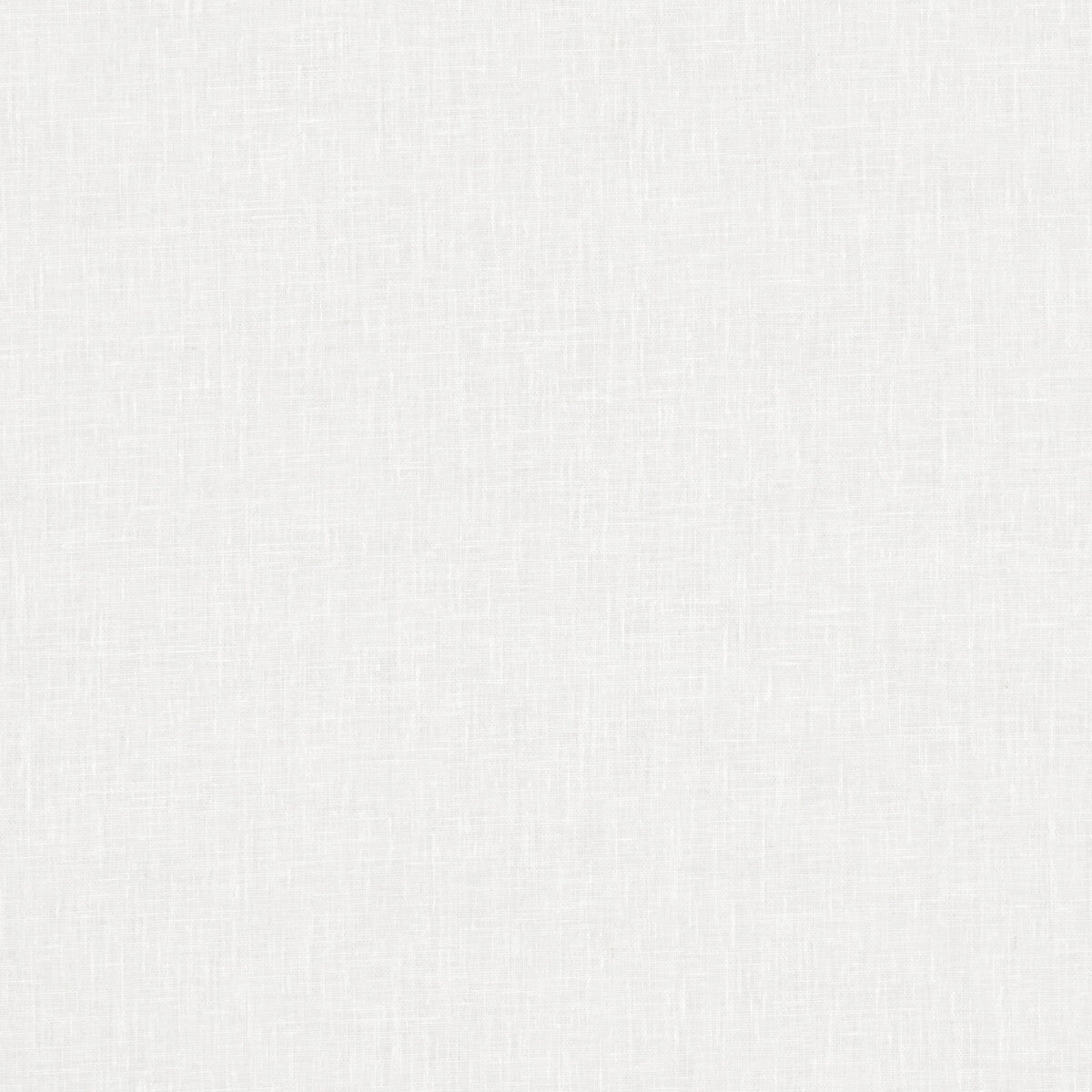 Clarke & Clarke Midori Polar Fabric F1068/36.CAC.0