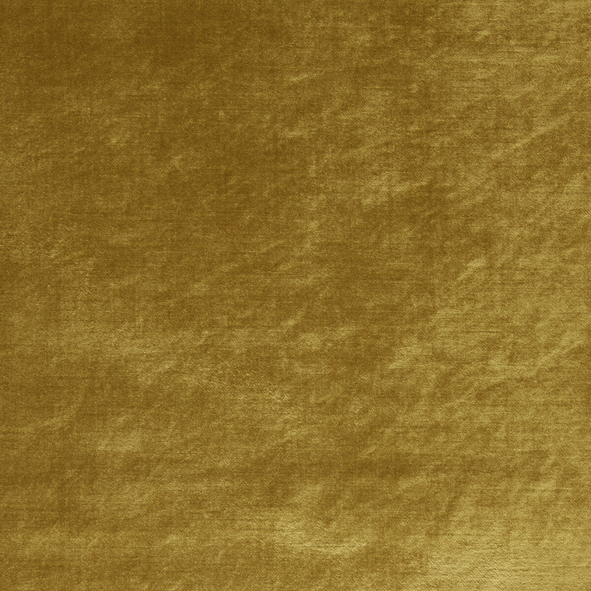 Clarke & Clarke Allure Gold Fabric F1069/17.CAC.0