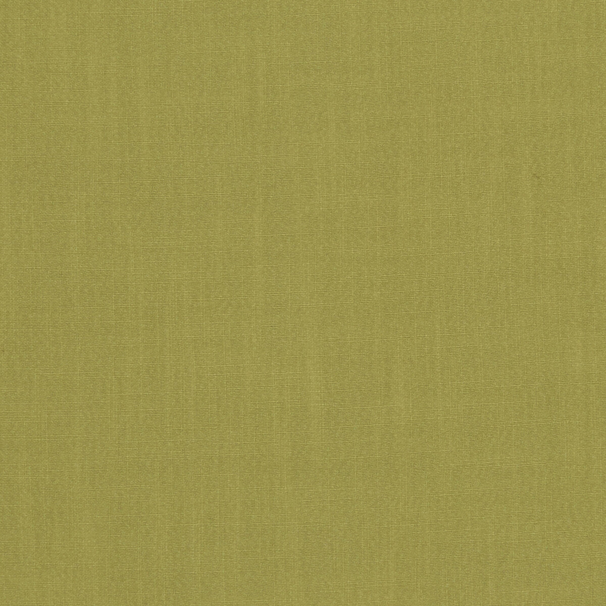 Clarke & Clarke Hudson Citrus Fabric F1076/04.CAC.0