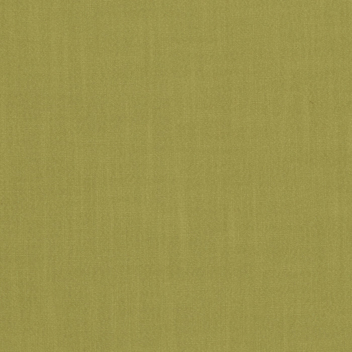 Clarke & Clarke Hudson Citrus Fabric F1076/04.CAC.0