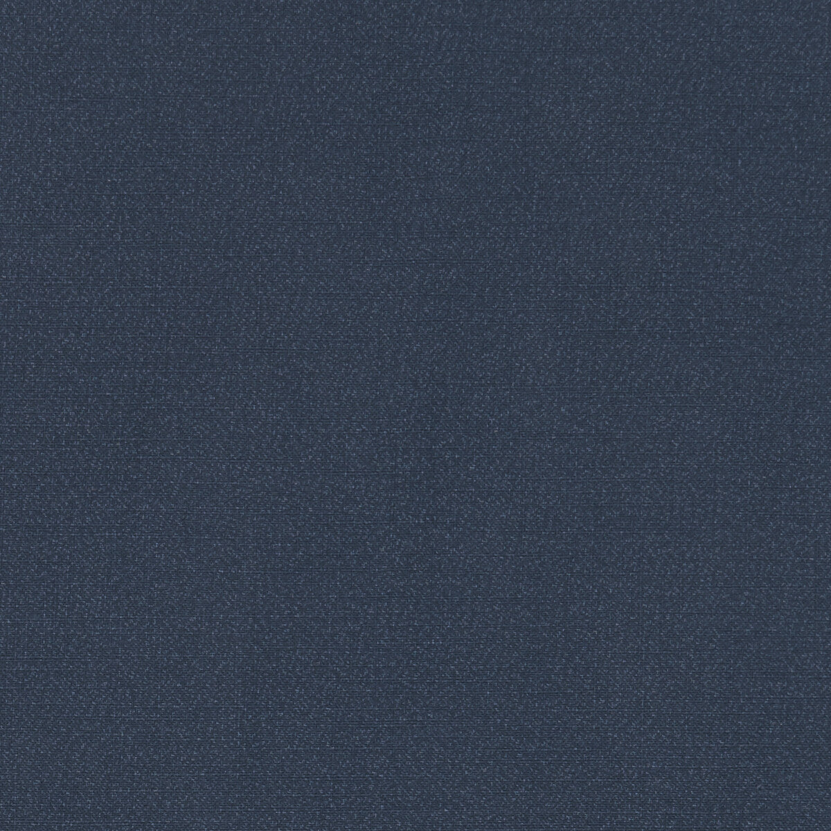 Clarke & Clarke Hudson Orion Fabric F1076/21.CAC.0