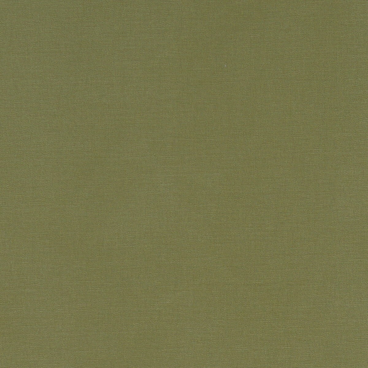 Clarke & Clarke Alora Moss Fabric F1097/41.CAC.0