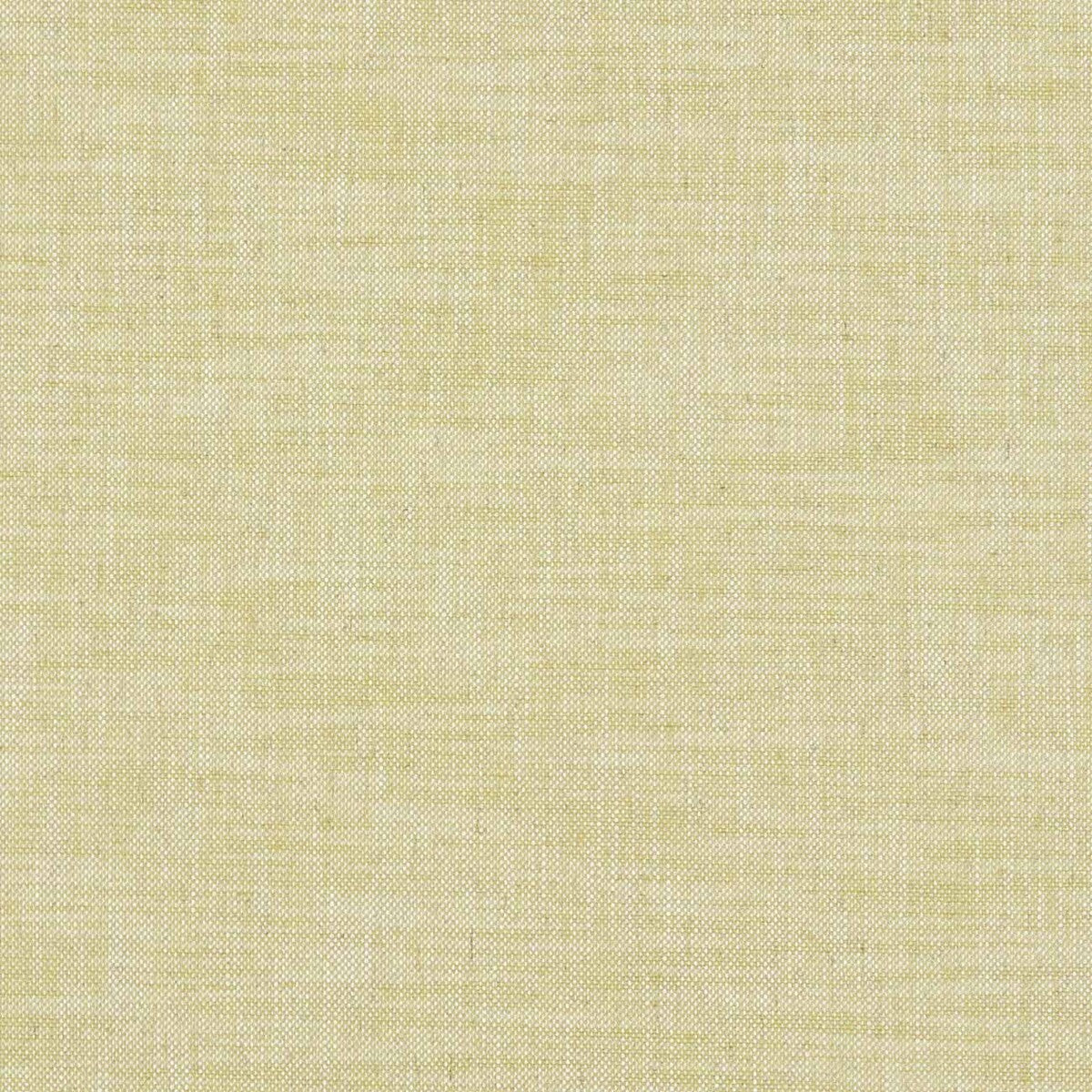 Clarke & Clarke Milton Citron Fabric F1180/02.CAC.0