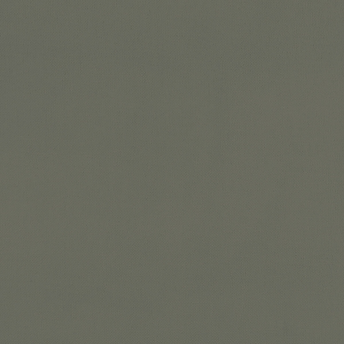 Clarke & Clarke Renzo Charcoal Fabric F1231/03.CAC.0
