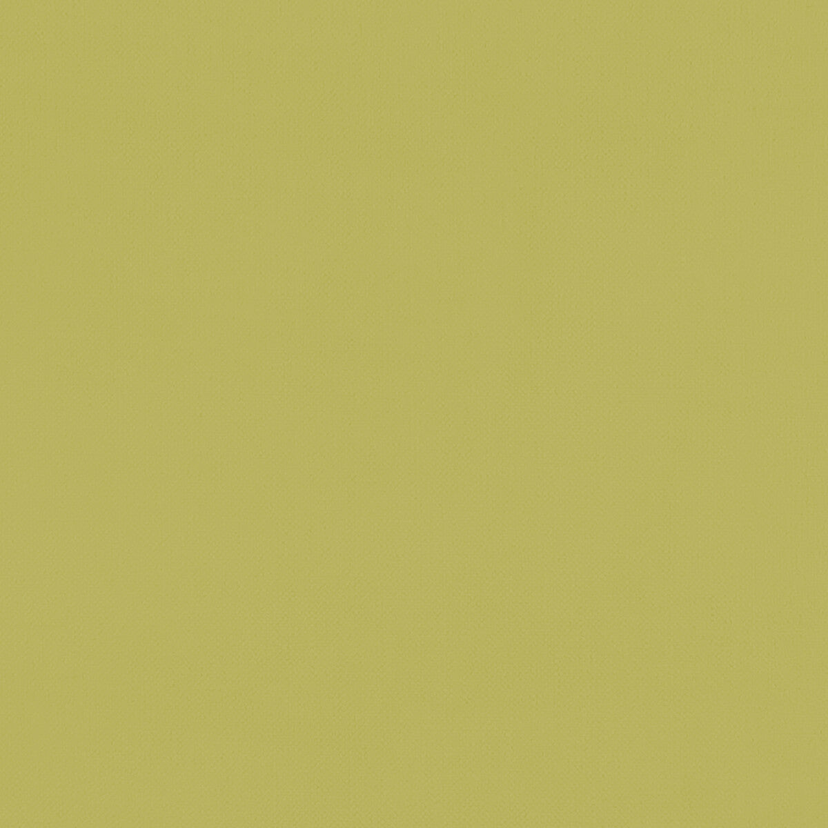 Clarke & Clarke Renzo Citrus Fabric F1231/04.CAC.0