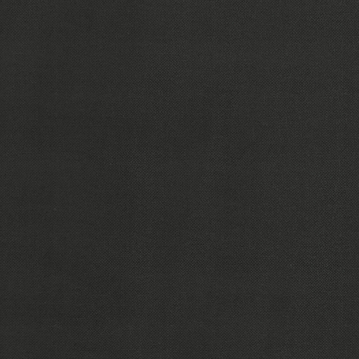 Clarke & Clarke Renzo Ebony Fabric F1231/09.CAC.0