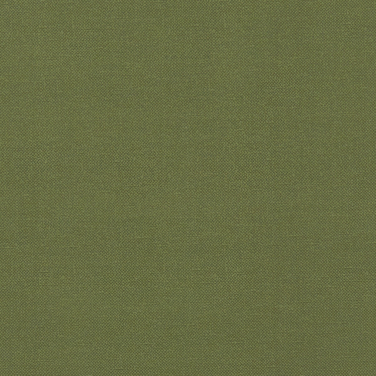 Clarke & Clarke Renzo Forest Fabric F1231/11.CAC.0