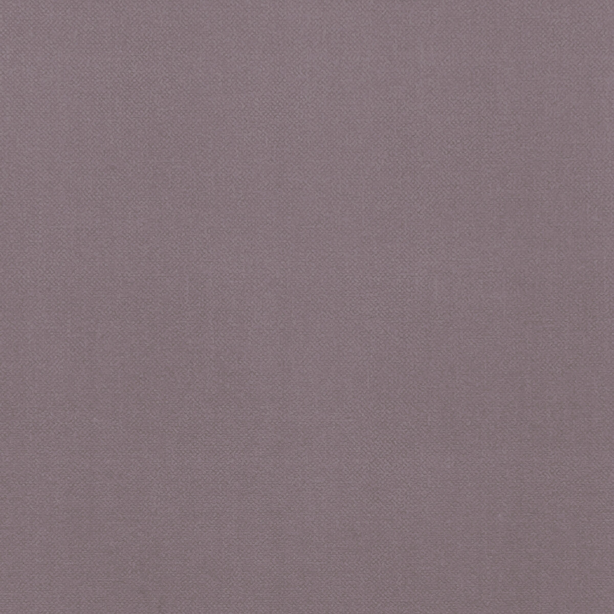 Clarke & Clarke Renzo Heather Fabric F1231/12.CAC.0