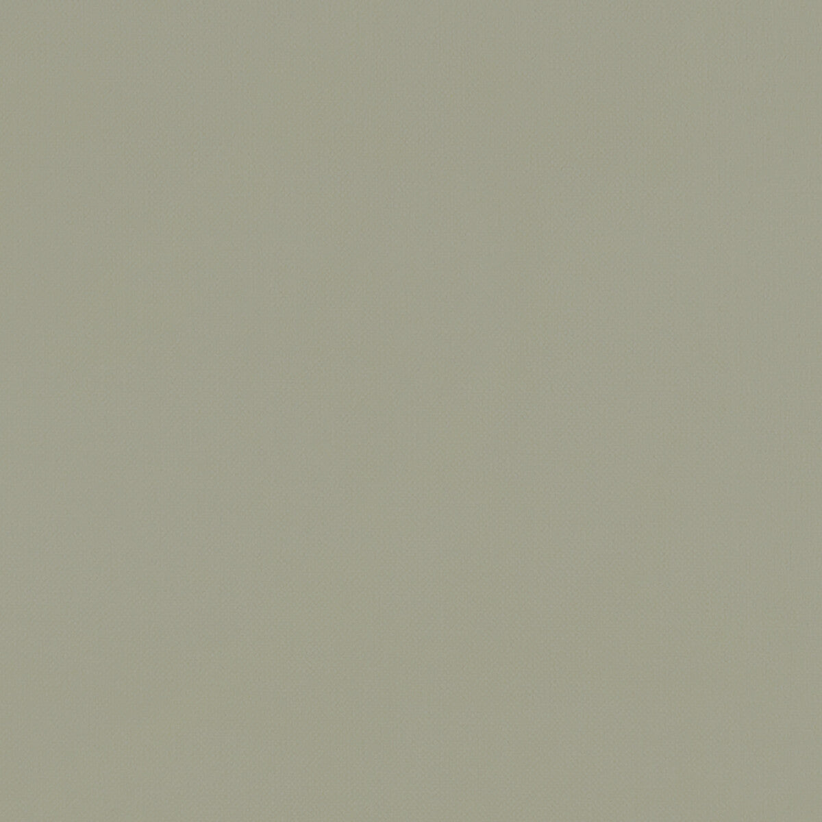 Clarke & Clarke Renzo Sage Fabric F1231/22.CAC.0