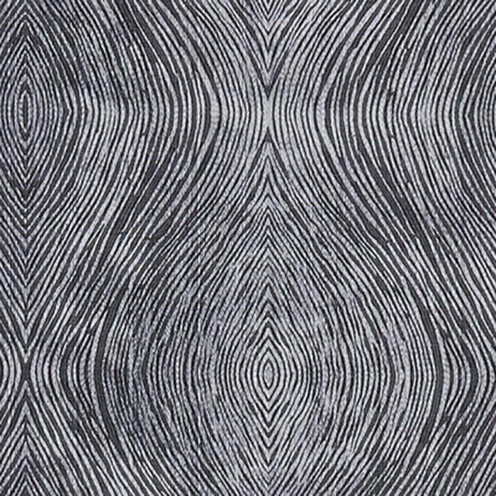 Clarke & Clarke Luster Charcoal Fabric F1336/01.CAC.0