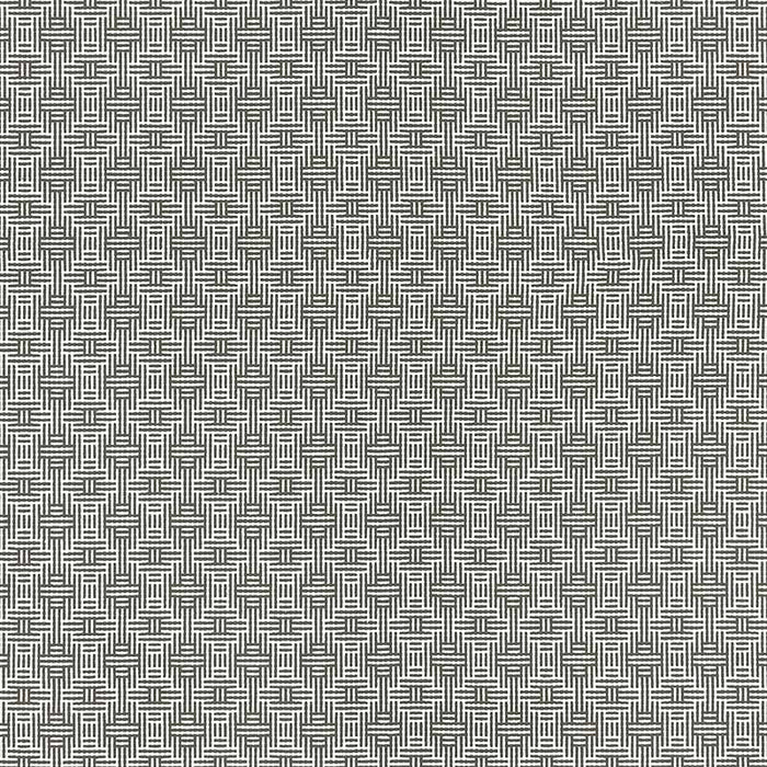Clarke & Clarke Aztec Charcoal Fabric F1438/01.CAC.0