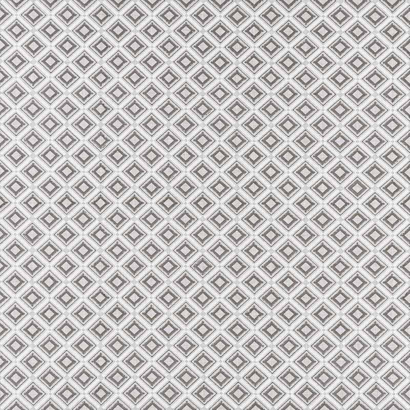 Clarke & Clarke Paragon Silver Fabric F1448/02.CAC.0