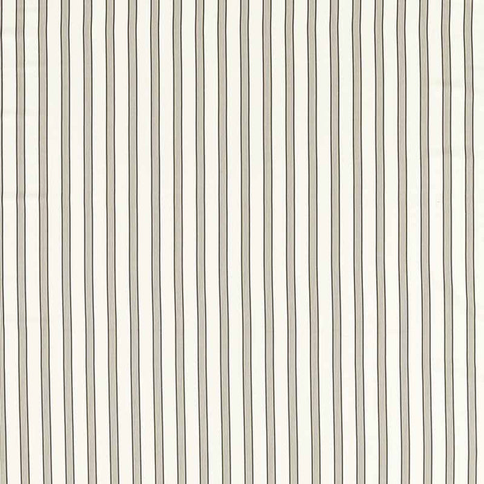 Clarke & Clarke Edison Charcoal/Natural Fabric F1499/01.CAC.0