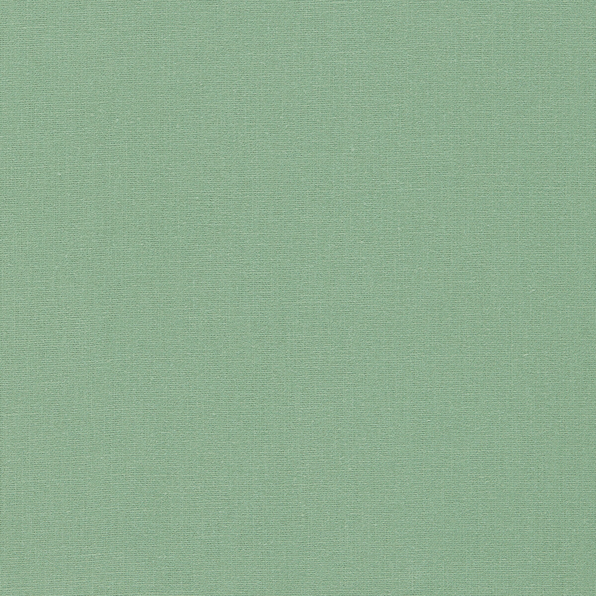 Clarke & Clarke Lazio Herb Fabric F1537/18.CAC.0