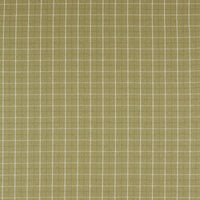 Clarke & Clarke Thornton Olive Fabric F1571/05.CAC.0