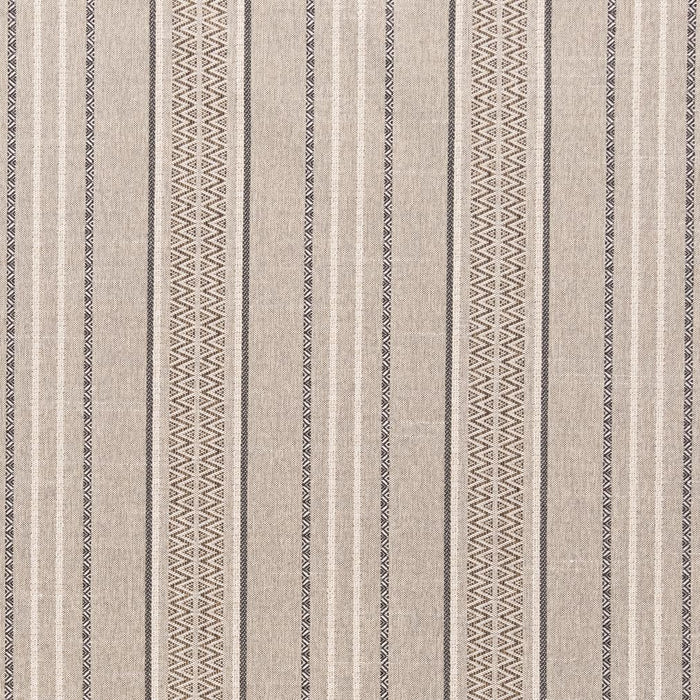 Charlotte  Fabric Sample F200-109