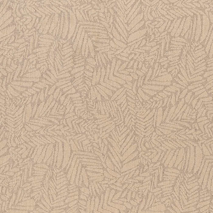 Charlotte  Fabric Sample F300-167