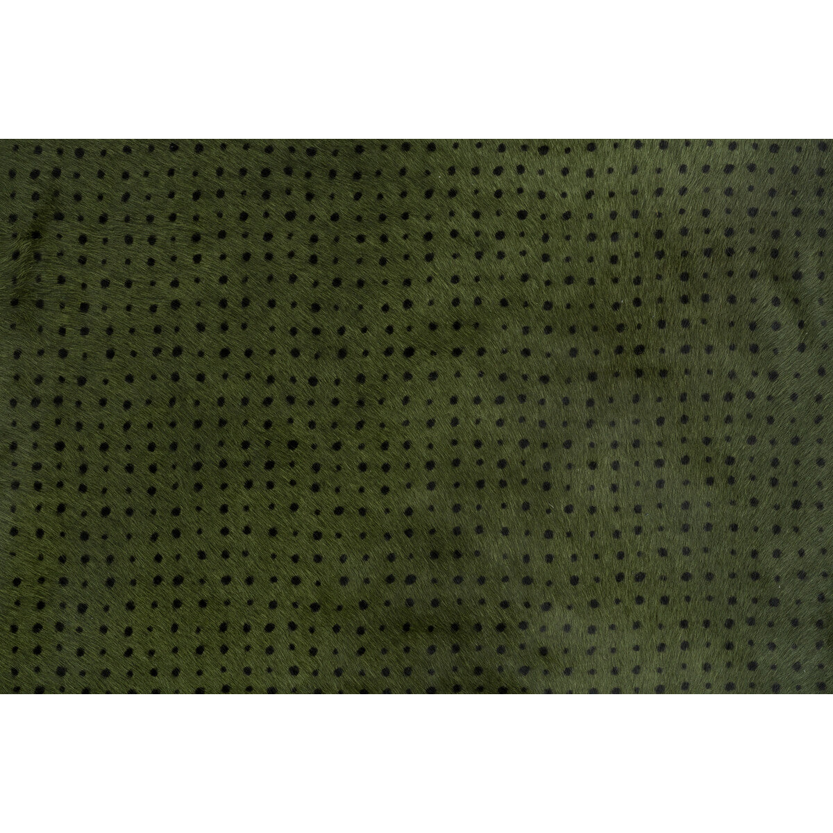 Lee Jofa Modern Dame Olive/Ebony Fabric GWL-3401.38.0
