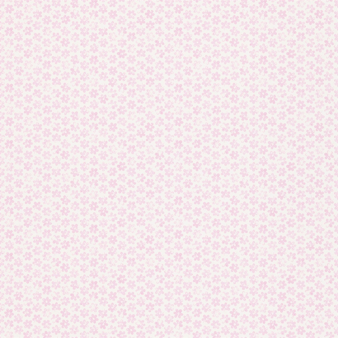 Harlequin Ditsy Daisy Soft Pink 110550 Wallpaper HKID110550