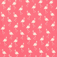 Charlotte  Fabric I9000-36