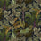 Kravet Couture Palm Grove 21 Wallpaper JMW1013.21.0