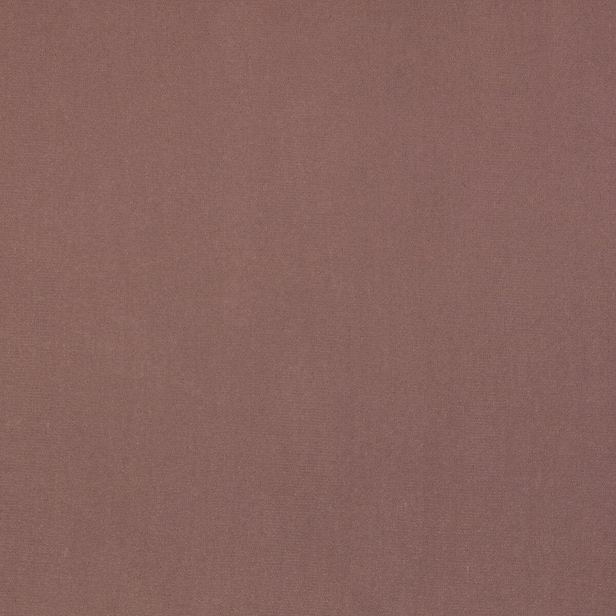 Kravet Design Guru 12 Fabric LZ-30229.12.0