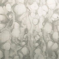 Maya Romanoff River Bed II Silver Rush Wallpaper MR-FV-20033