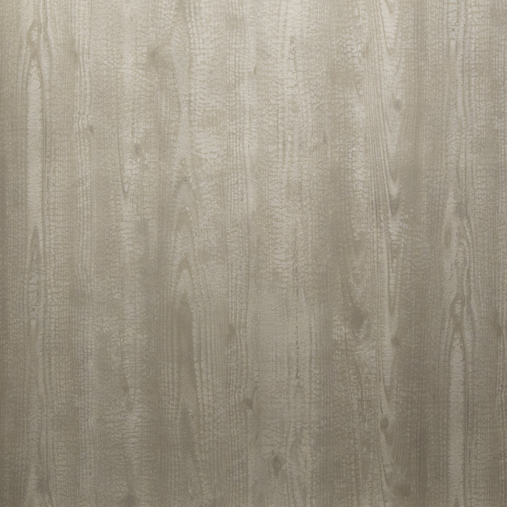 Maya Romanoff Natural Elements Carbonized Silver Birch Wallpaper MR-NE-1222