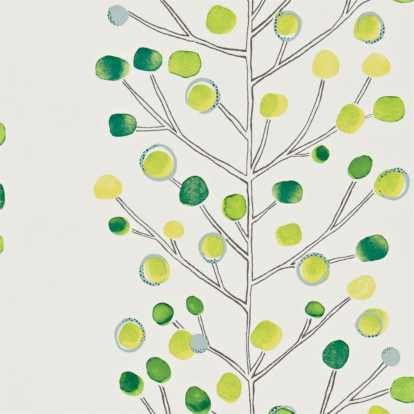 Scion Berry Tree Emerald/Lime/Chalk Wallpaper NMEL110206.SCN.0