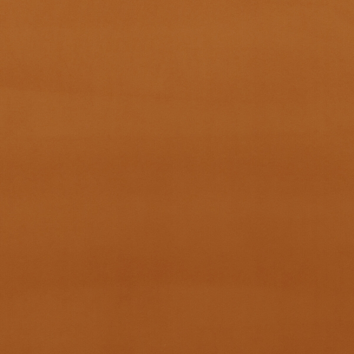 Baker Lifestyle Montpellier Velvet Spice Fabric PF50417.330.0